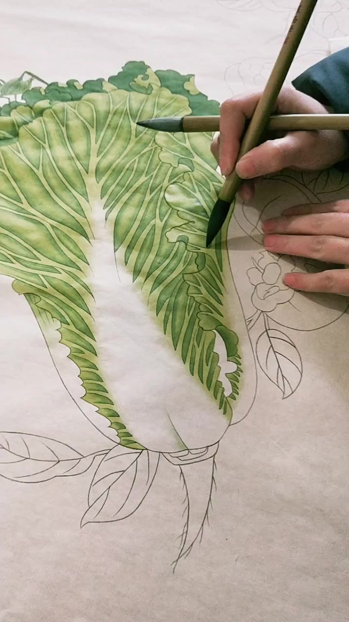 老师的工笔白菜分染,画的真好,赶快一起学习吧!