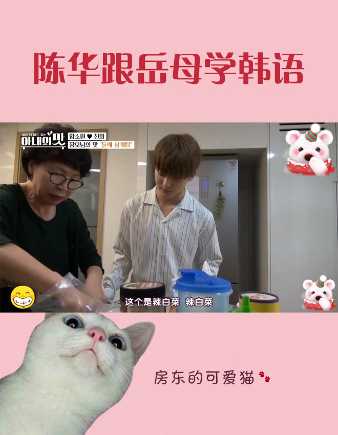 岳母在准备泡菜,陈华就跟在身边学习韩语,太认真了