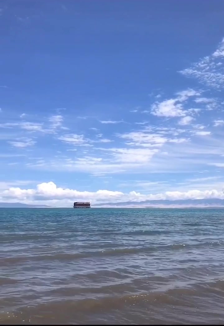 美丽青海湖的花开的好漂亮