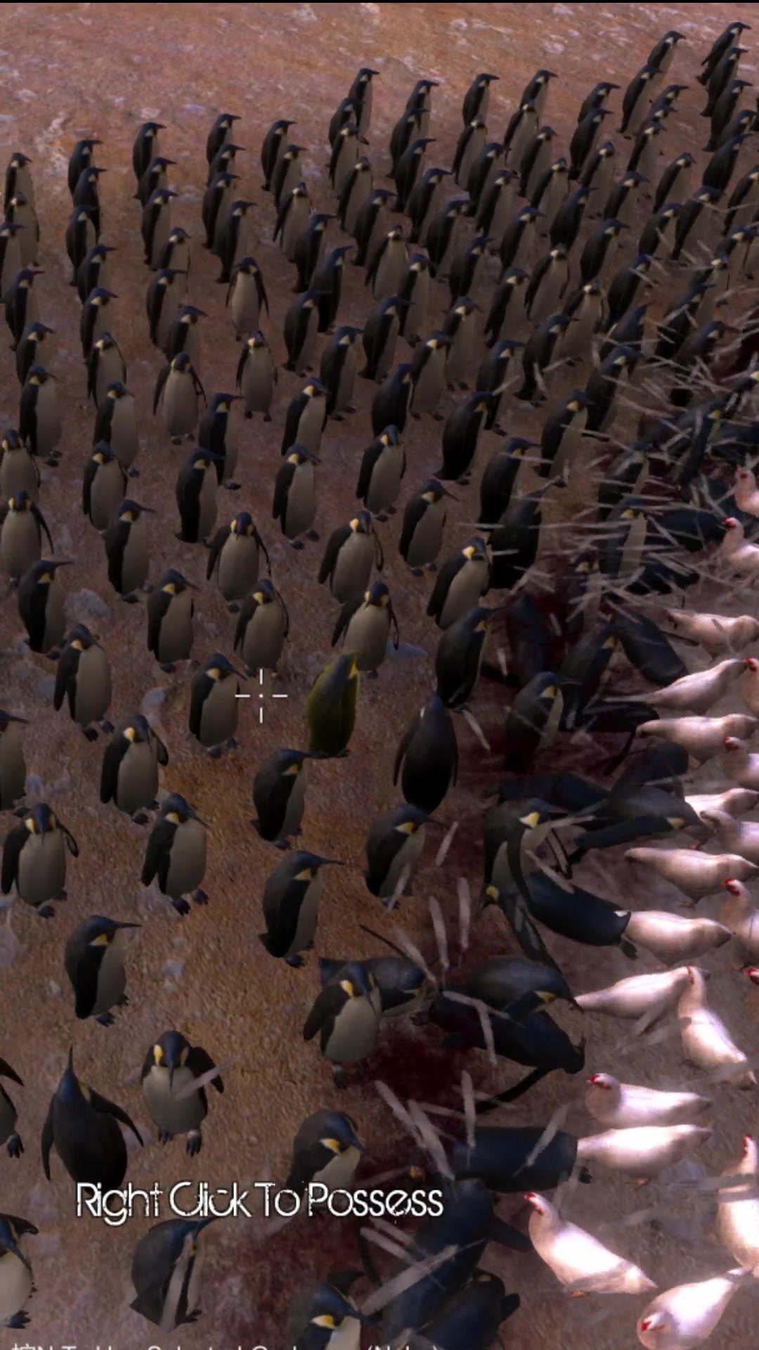 史诗战争模拟器300企鹅VS300只鸡