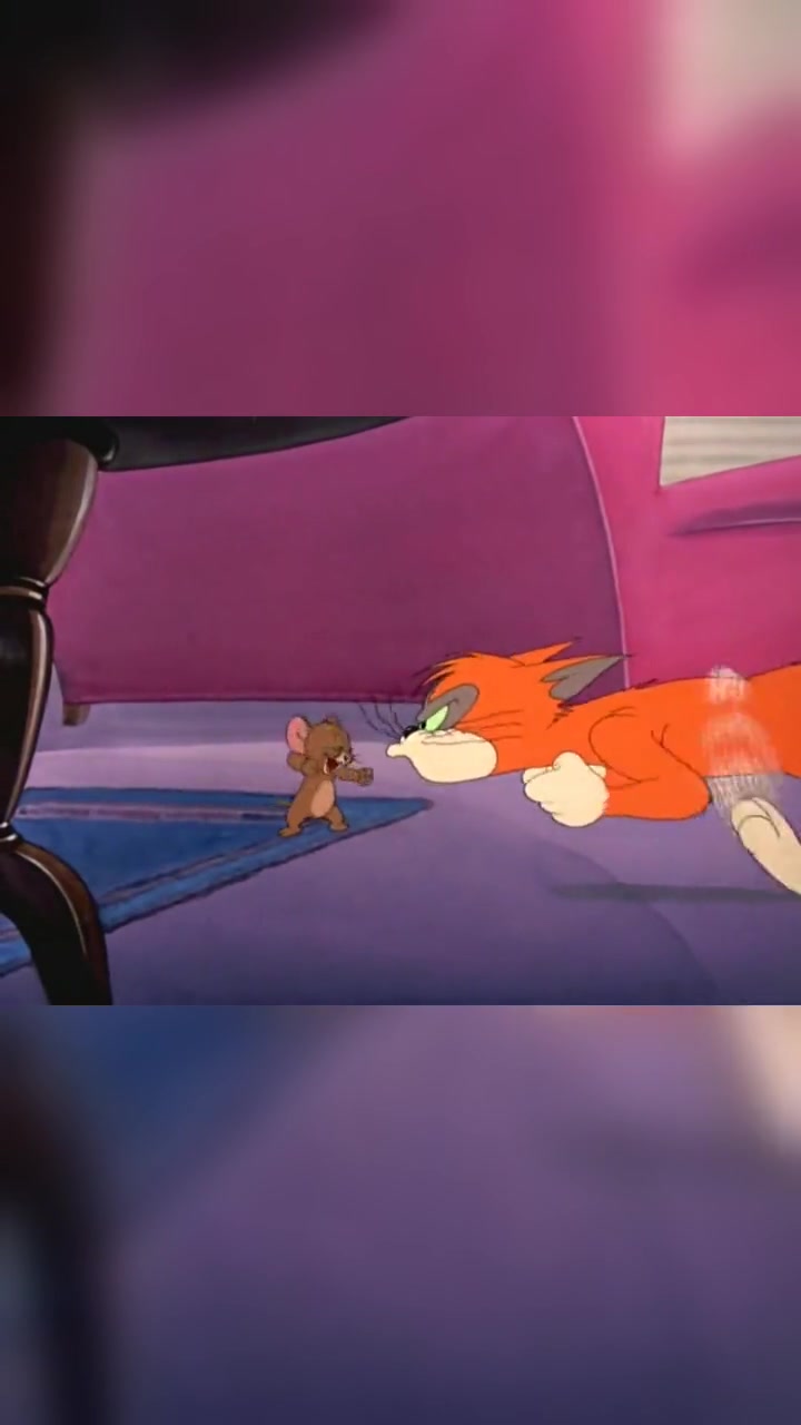 猫和老鼠:杰瑞和汤姆这次组成了统一战线,共同对抗橘猫!