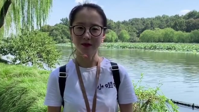 城市有个大脑袋、看病不用把钱带、小偷尽摸空口袋、机器干活人不在、停车不用把杆抬、限行还能把