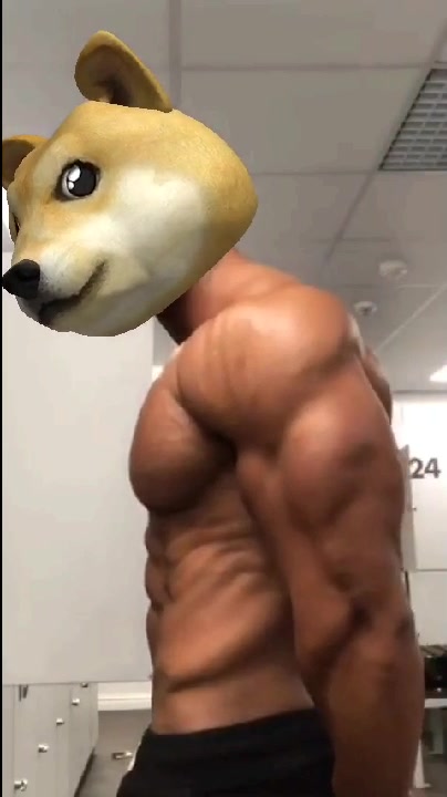 腹肌和胸肌非常标致的肌肉男