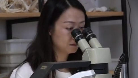 【玩骨头的卢老师火了:边吃边趣味科普】中科院古脊椎所的卢静老师用小视频做科普,用日常吃剩的