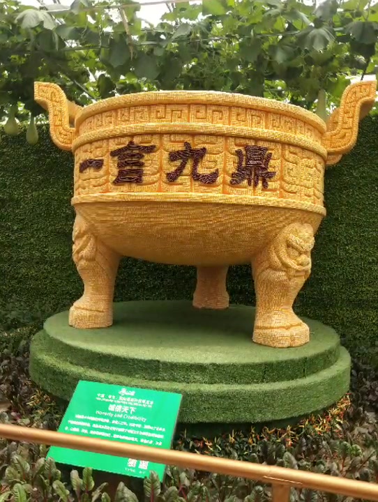 看我们的大寿光的蔬菜