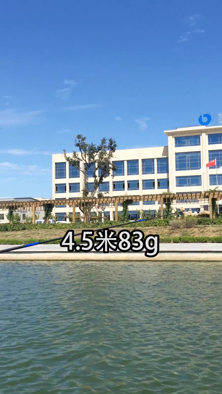 宝飞龙28调超硬超轻台钓竿鲫鱼竿