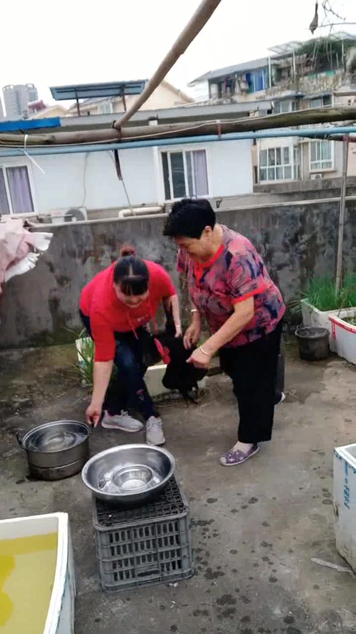 见过女人杀鸡吗?这位大姐满脸笑容,准备磨刀霍霍了