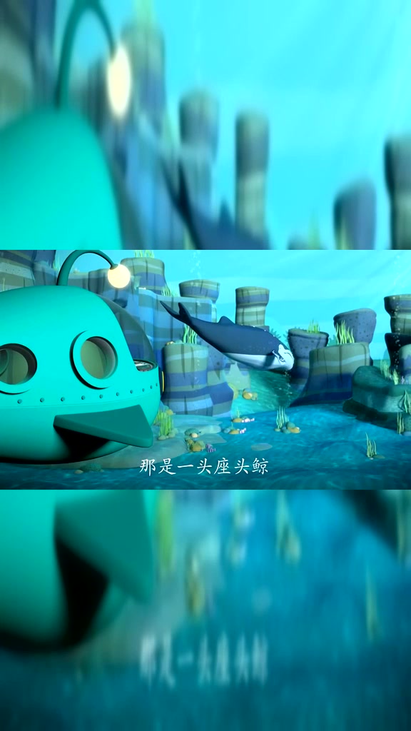 海底小纵队:时间上最孤独的鲸鱼