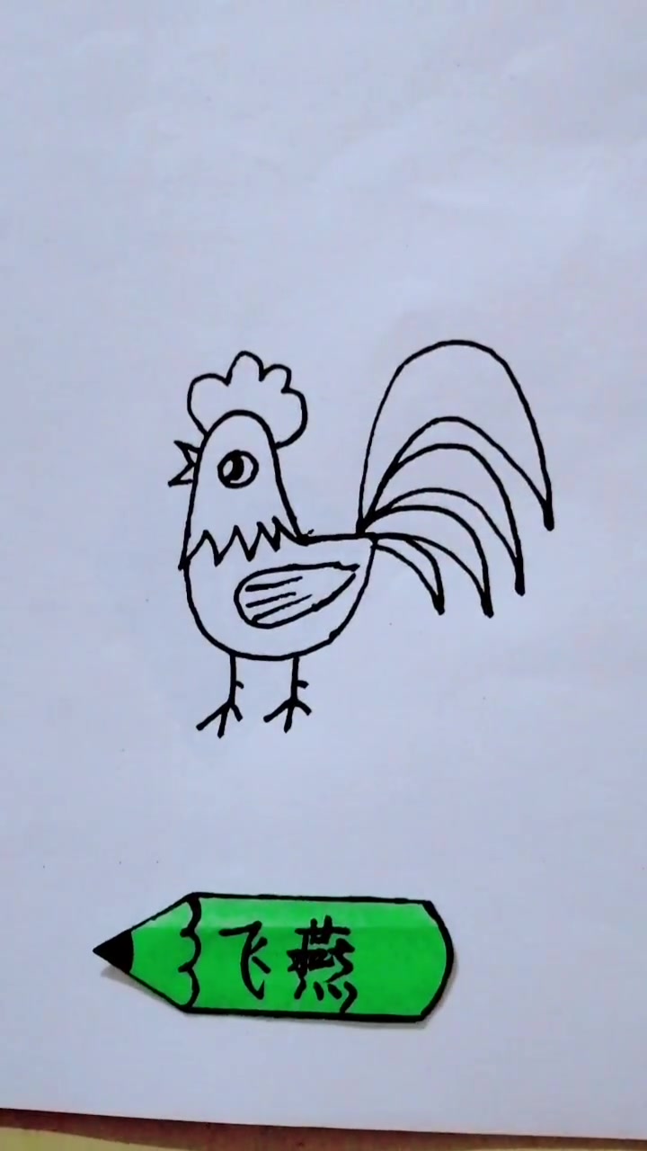 超级漂亮的花公鸡