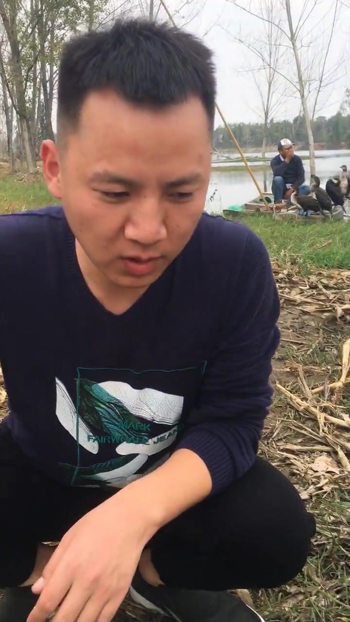 近距离感受下鱼鹰捉到的鱼,这下更佩服鱼鹰了!