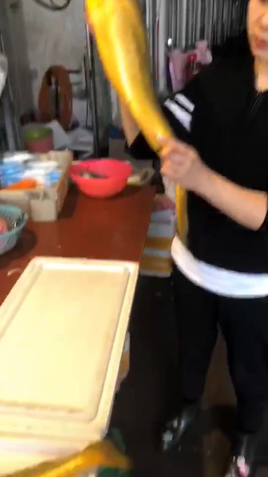 东海野生大黄鱼