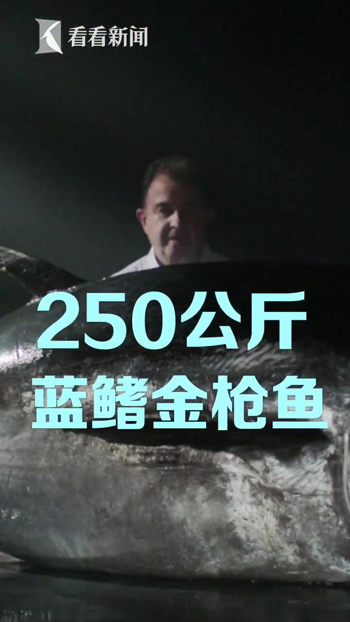 七大品种金枪鱼齐聚进博会 现场品鉴“世界软黄金”美味