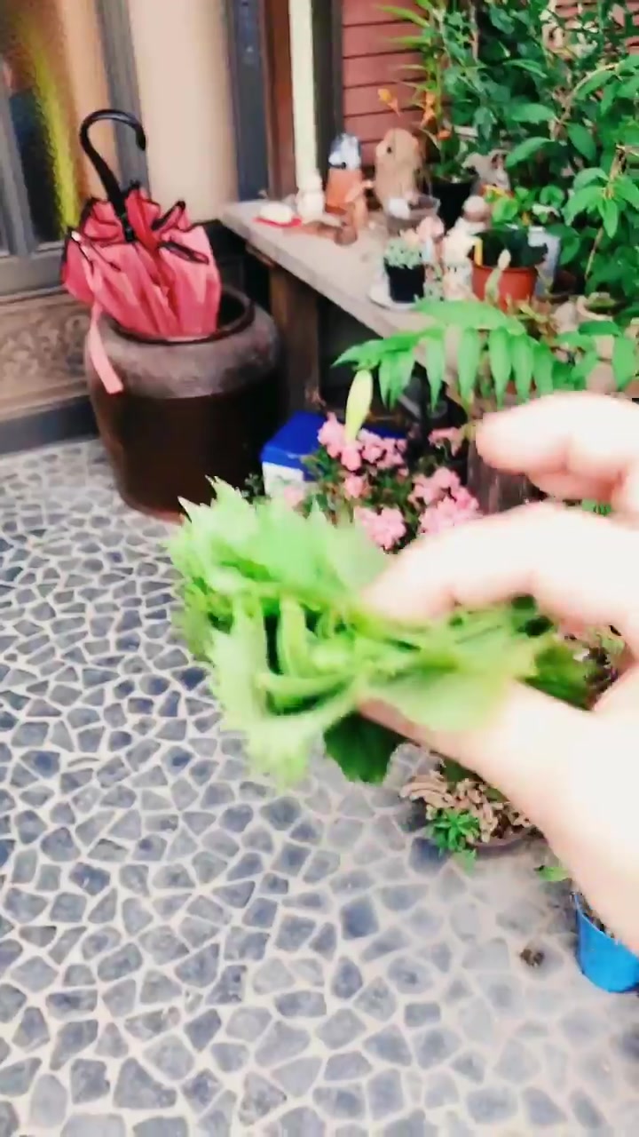 不愧是日本人的最爱,八爪鱼竟喜欢这样吃,中国表示接受不了!