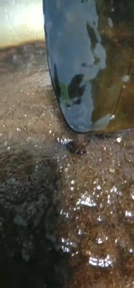 传统纯手工阿胶糕