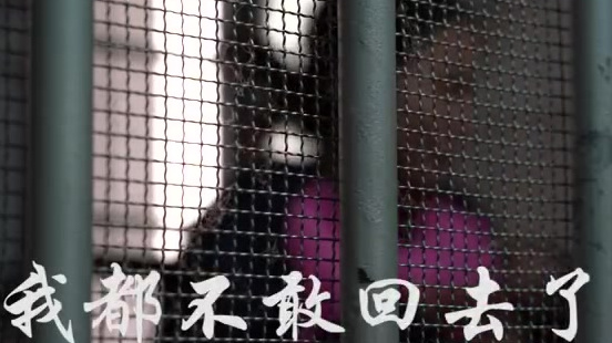 【“都不敢回家了!”搭便车行窃车主,95后女嫌疑人泪洒讯问室】近日,龙光桥派出所办理一起盗