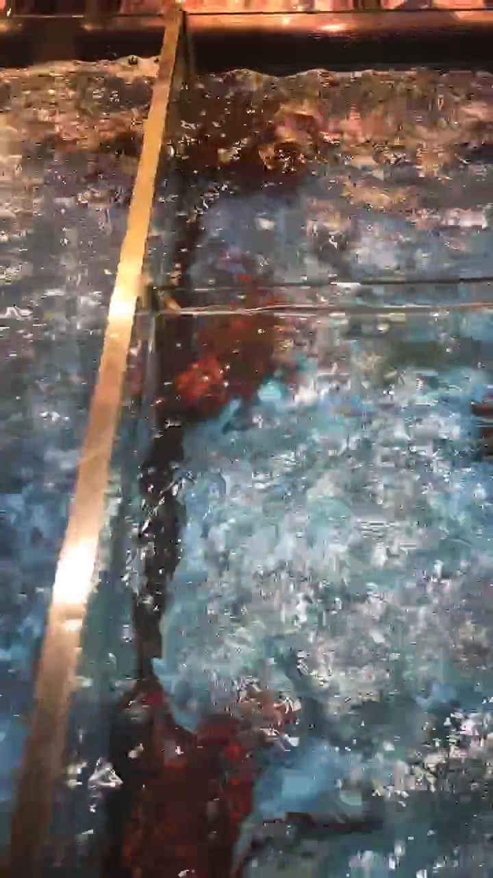 各式各样的海鲜,螃蟹和龙虾的品种好多,你们喜欢吃哪一种?