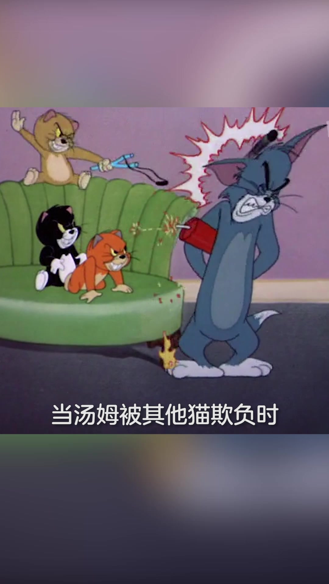 猫和老鼠游戏:你真的了解杰瑞吗?