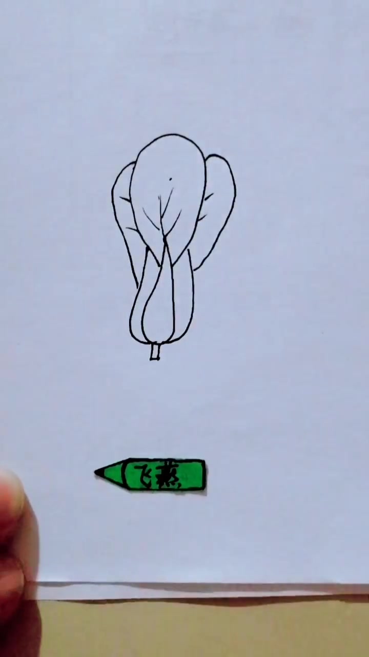 简笔画漂亮的油菜