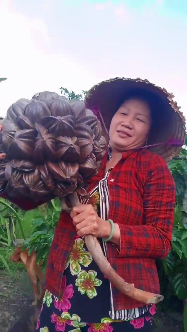 这种水果你吃过吗?我还是第一次见到,真是长见识了!