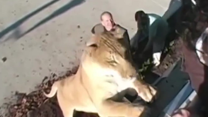 #当动物成精以后#  重1.1吨 怪怪这鳄鱼是不是成精了