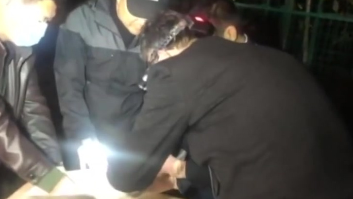【迁徙小天鹅掉队,坐火车5千里追上大部队】黑龙江大兴安岭地区,一只天鹅幼鸟迁徙途中因体力不