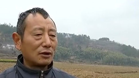 【舒城:雨雪天气过后,土壤浸透深度高达70多公分!】11月27号,舒城县汤池镇也下起了雪,