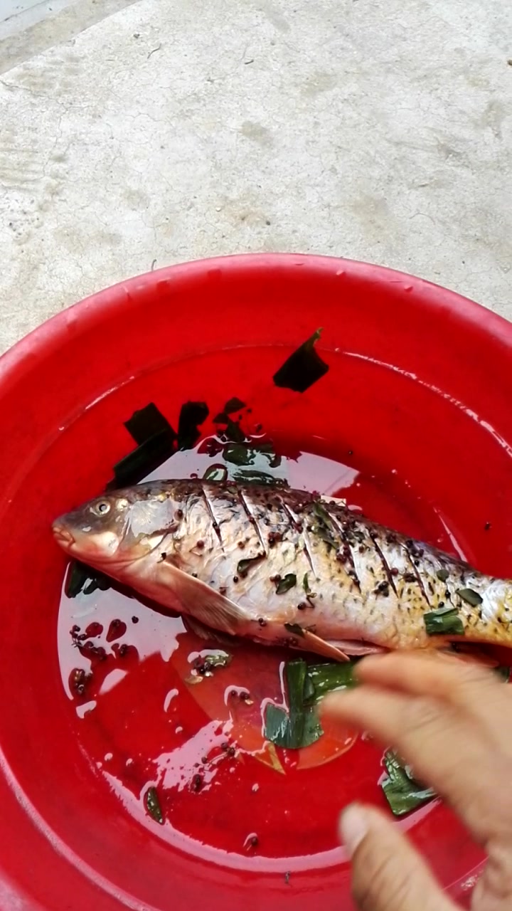 小徐抓了一条大鲤鱼,给大家分享一种最简单好吃的做法