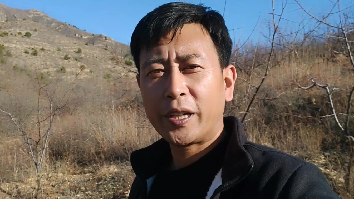 #农村趣事# Vlog又到了青黄不接的时候,上山找野鸡野兔,一起来看看