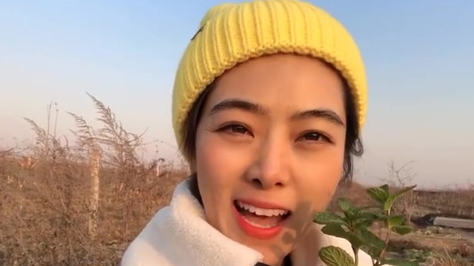 优秀Vlog作品推荐——曹女·阳光农场:冰块、白糖、柠檬、白朗姆酒、苏打水,再加上自家种的