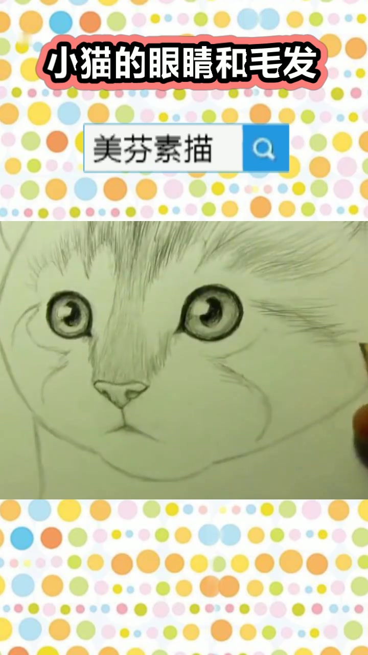 创意素描小猫的画法,用最简单的方法画可爱小动物!