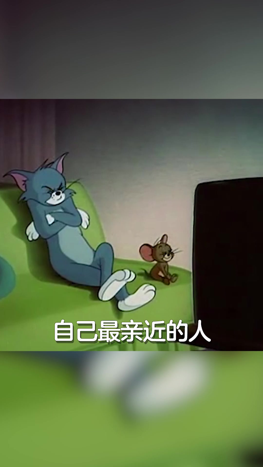 猫和老鼠游戏:你真的了解汤姆和杰瑞吗