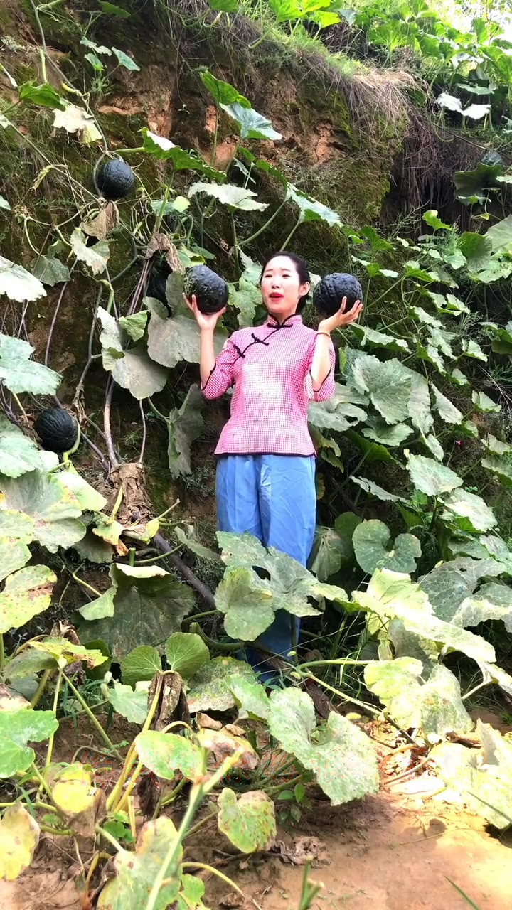 姑娘唱了一首《二茬韭菜》,太经典的歌曲了