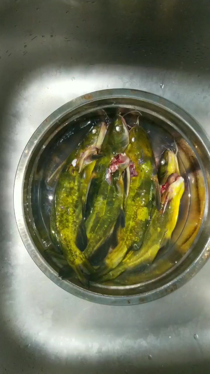 家常版 红烧昂公鱼