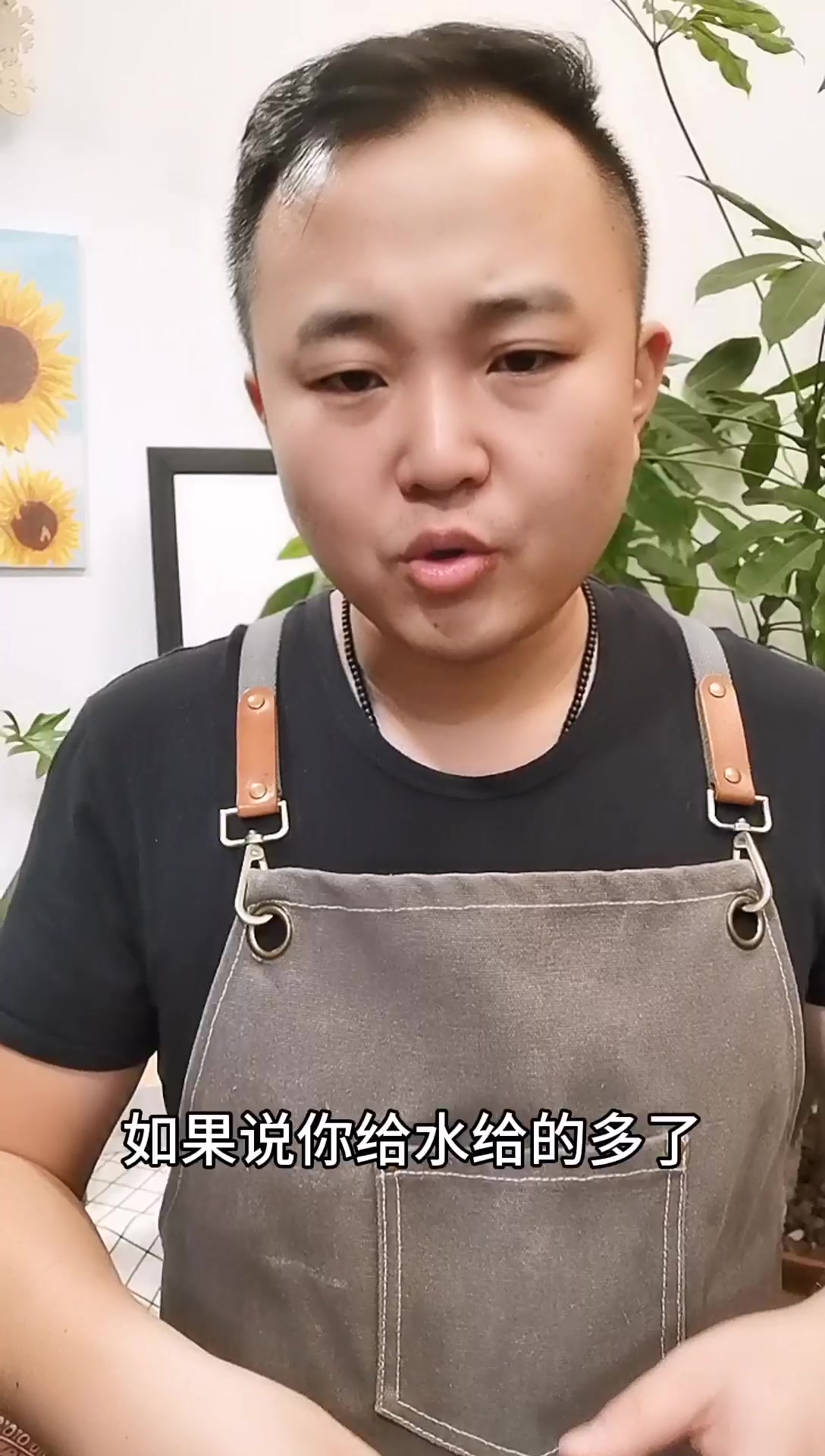 冬季家中养的多肉植物为什么会出现这么多的叶片干瘪、枯叶