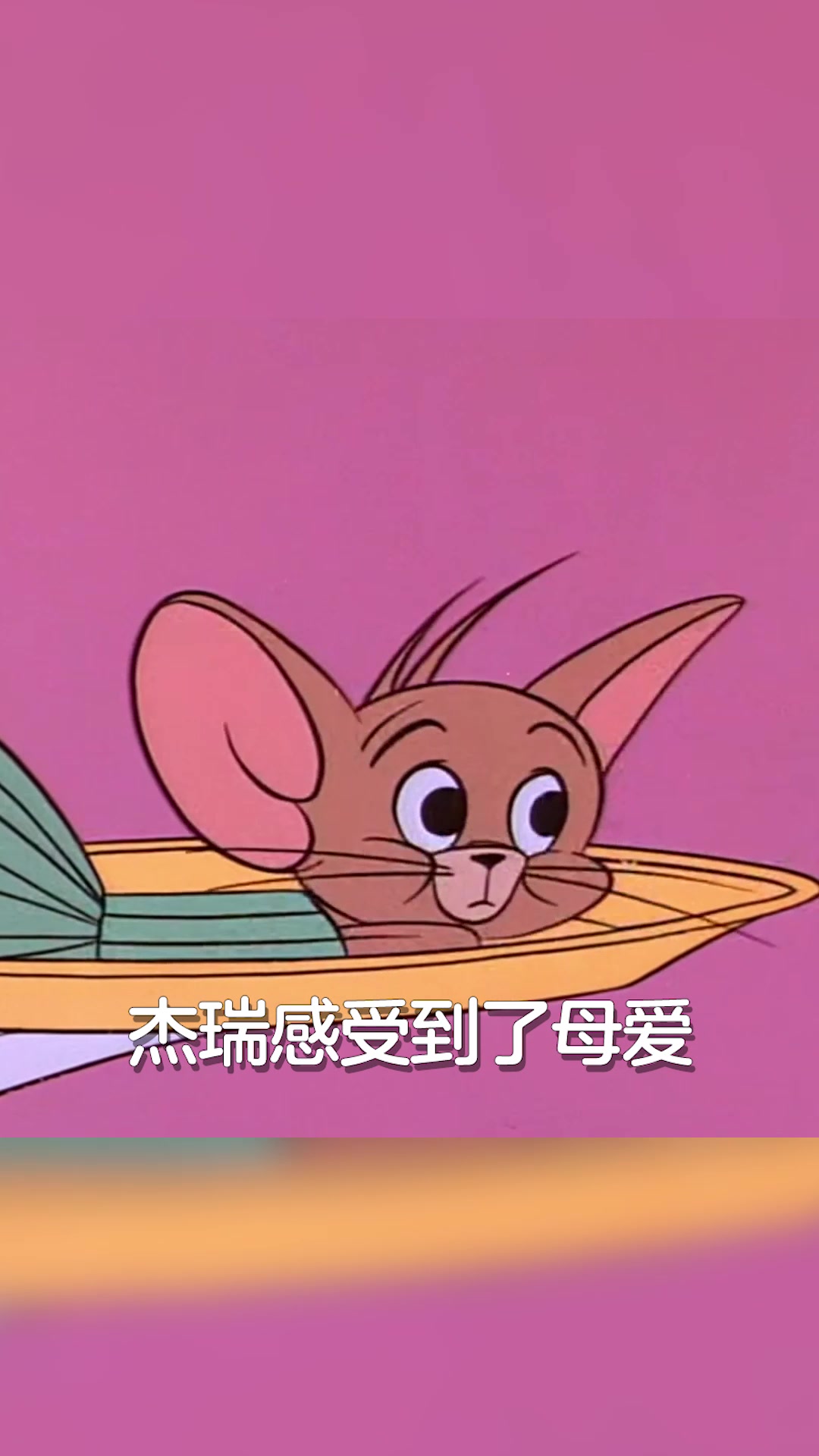 猫和老鼠游戏:你真的了解猫和老鼠吗