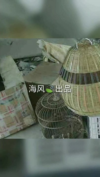 野鸡媒 煤笼 精品煤笼 海风出品