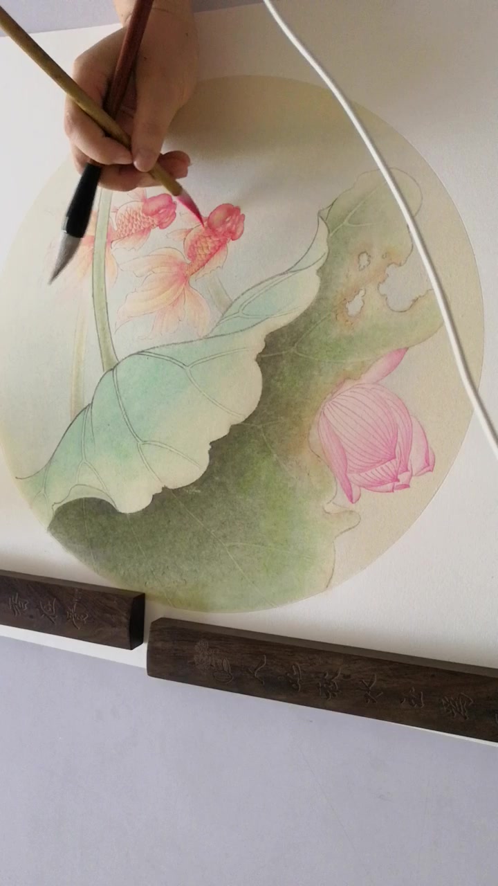 工笔画《荷花金鱼》染色教程!