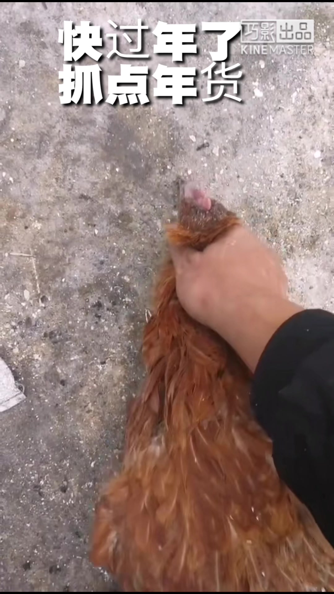 要过年了,先备点年货吧!