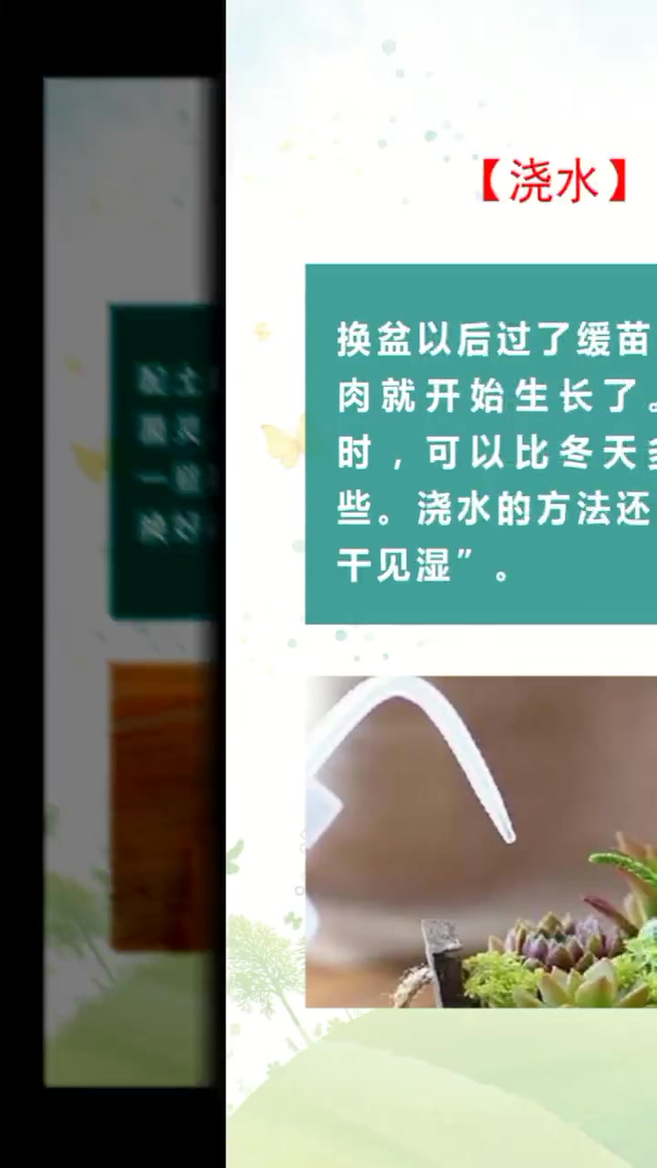 多肉入春这样养,长胖爆盆窜小崽儿