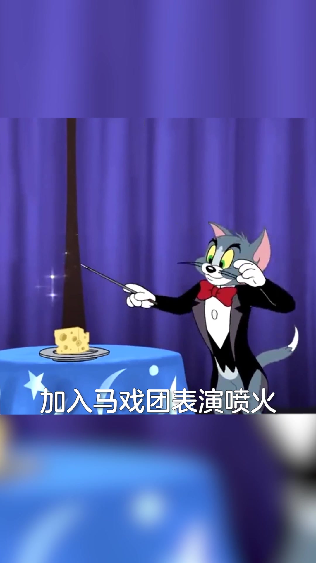 猫和老鼠游戏:汤姆的许多形态