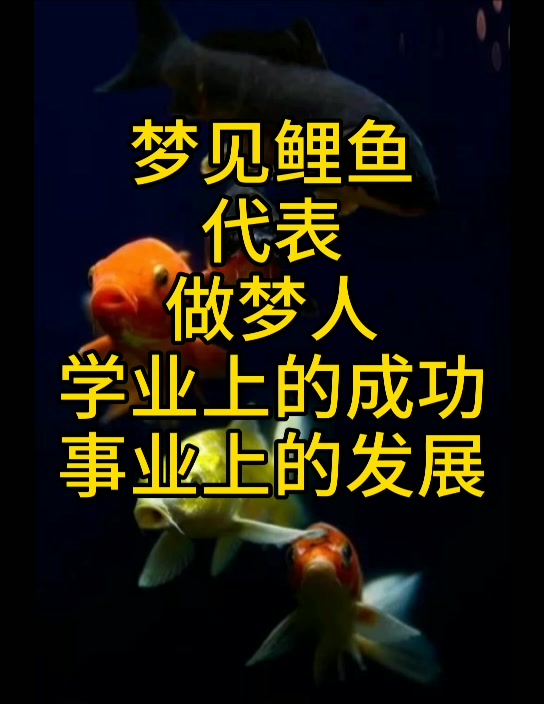 善韵缘|鲤鱼跃龙门