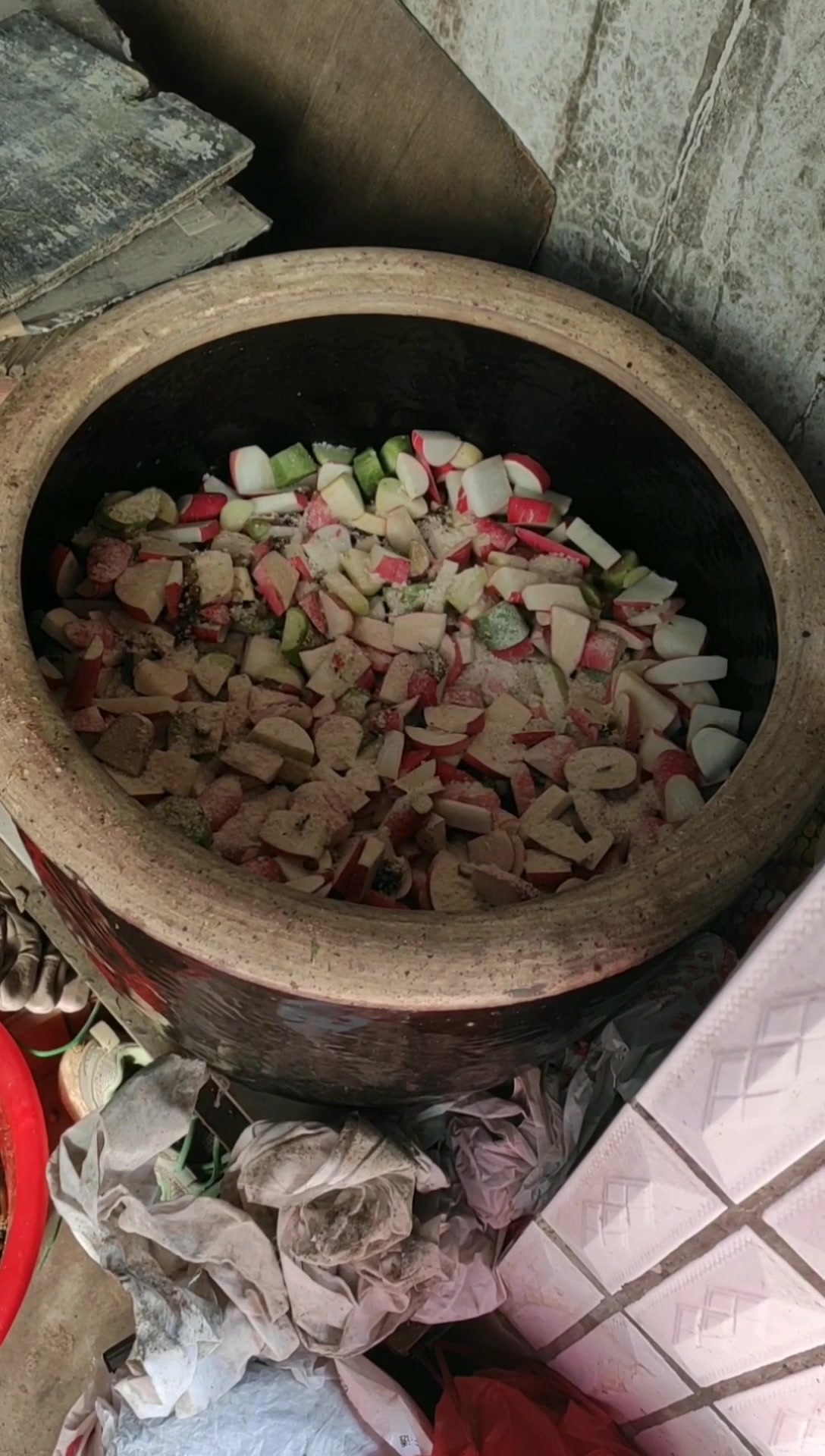 酱豆子萝卜咸菜