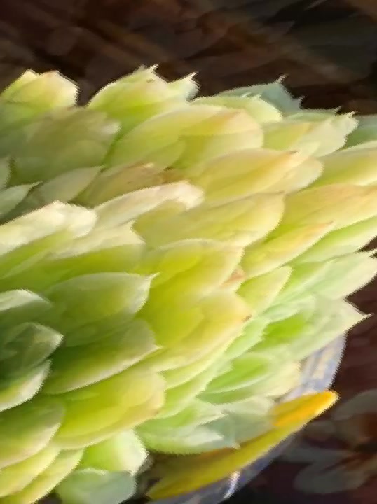 天生我就这么惹人爱