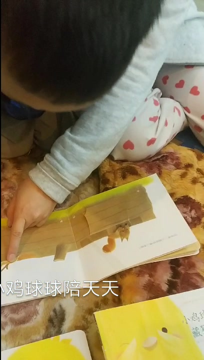 小鸡球球陪小天天