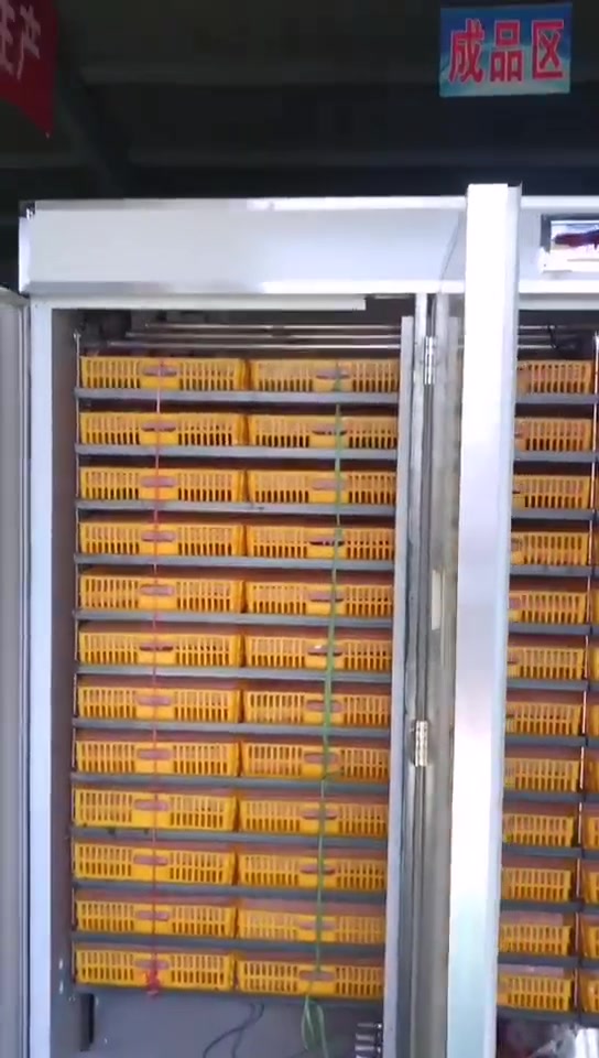 6336型三用机全自动孵化机孵化设备鑫协孵化箱小鸡孵化机卵化机