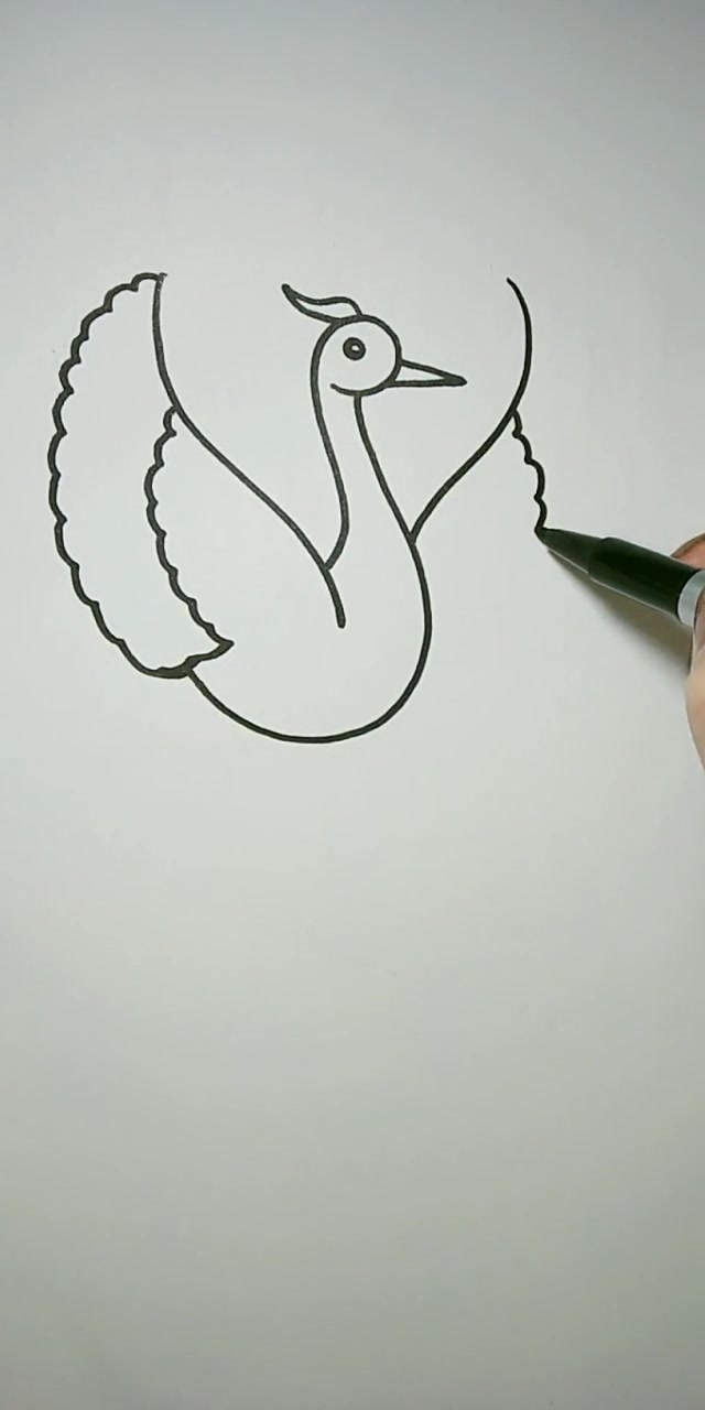 小天鹅简笔画,保证让你一看就会,方法简单又好学