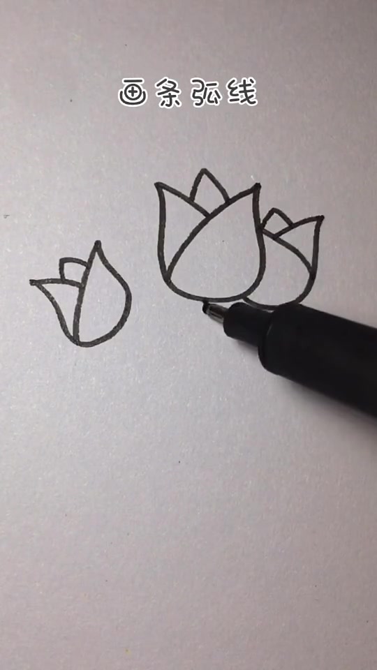 郁金香简笔画,手抄报必备,赶紧动手学起来吧