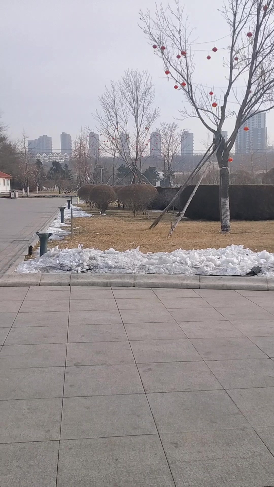 鲅鱼圈世纪广场印象
