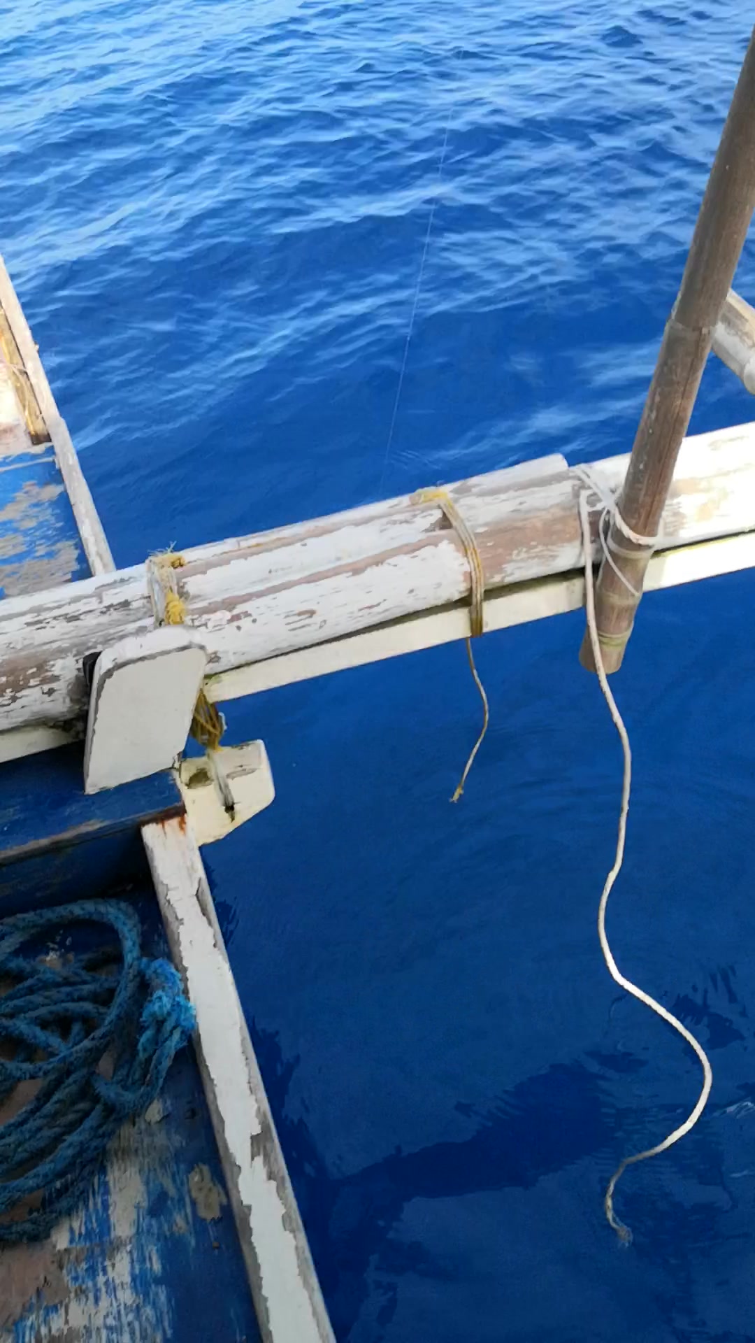 喜提将军甲一枚,红红火火