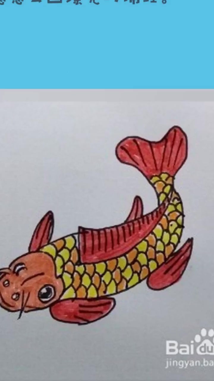 简笔画:锦鲤(涂色)